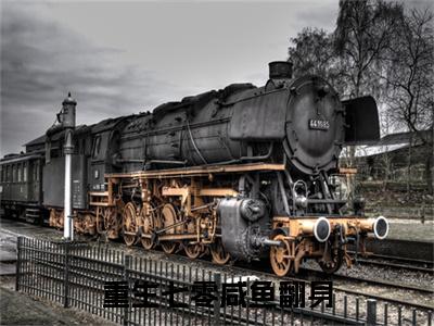 重生七零咸鱼翻身后续(顾之夏陆景逸)（重生七零咸鱼翻身）整本畅享在线+无广告结局