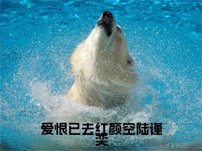 全网首发爱恨已去红颜空陆谨奕彩蛋(萧芸舒陆谨奕)（爱恨已去红颜空陆谨奕）全本完整阅读无弹窗