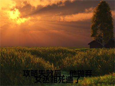 小说结尾小说楚云逸宁沫雪小说全章已更新+无删减（攻略失败后，他抛弃女丞相死遁了）无弹窗
