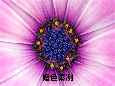 许烟秦冽：结局+番外新上热文 新章速递婚色秦冽：结局+番外评价五颗星