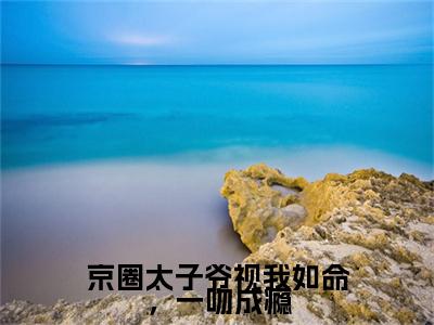 京圈太子爷视我如命，一吻成瘾：结局+番外宝藏文全篇一口气_早期章节+后续（宋皙顾黎商）
