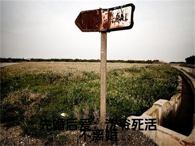 苏墨沈宴小说(先婚后爱：沈爷死活不离婚)外篇+结局（苏墨沈宴）全篇在线阅读