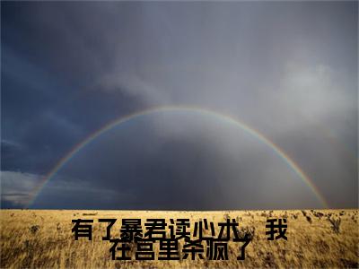 安玖小说（有了暴君读心术，我在宫里杀疯了）+后续+结局在线阅读