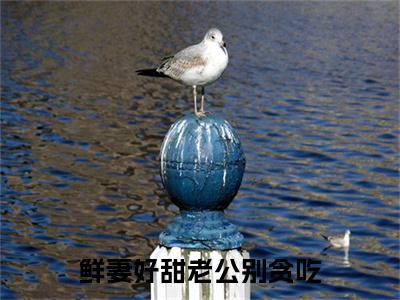 容彻林紫杉：：结局+番外评价五颗星-鲜妻好甜老公别贪吃：结局+番外新上热文