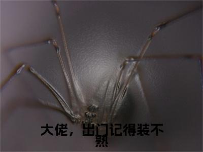 大佬，出门记得装不熟：结局+番外精编之作（许惟昭方肃礼）完整章节列表_笔趣阁