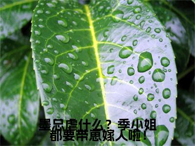 季清柠墨池小说(墨总虐什么？季小姐都要带崽嫁人啦！)（季清柠墨池）整本+后续+结局在线阅读
