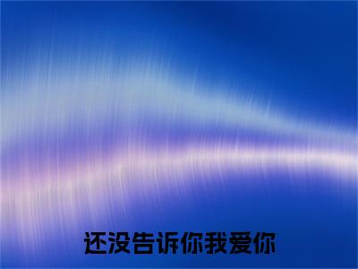 宁南乔秦长衍还没告诉你我爱你后续（还没告诉你我爱你）全文在线下载在线+纯净版结局
