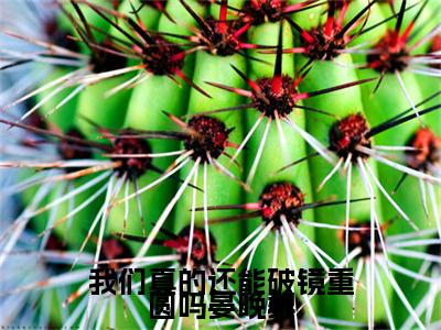 江煜白晏晚黎我们真的还能破镜重圆吗晏晚黎彩蛋+起始篇章（我们真的还能破镜重圆吗晏晚黎）阅读