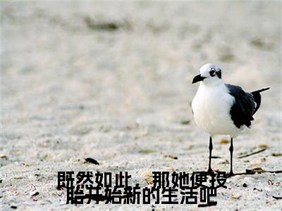 （书荒必看）既然如此，那她便投胎开始新的生活吧(傅梦晗曲言霄)无删减在线下载阅读最终终章