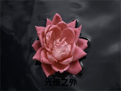 林嘉一苏觅清附加光锥之外：结局+番外免费品鉴（林嘉一苏觅清）全本浏览阅读连载中