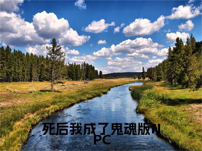 宋淮舟叶沐安完结篇(死后我成了鬼魂版NPC)（死后我成了鬼魂版NPC）全书无套路阅读无广告小说大结局