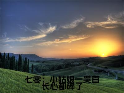 （姜苡宁陆云琛）七零：小姑娘一哭首长心都碎了延伸在线下载无广告章节清单