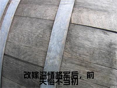 改嫁深情将军后，前夫悔不当初小说章节目录+章节前文（苏锦欢蓦云骞）TXT清爽版在线
