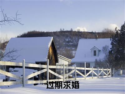 陆景川赵书语小说(过期求婚)全文+后续（陆景川赵书语）无套路阅读