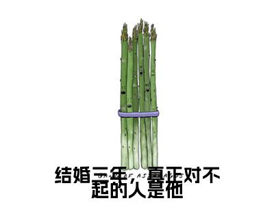 结婚三年，真正对不起的人是他小说(洛桑宁周司年)全文+后续（结婚三年，真正对不起的人是他）畅享阅读