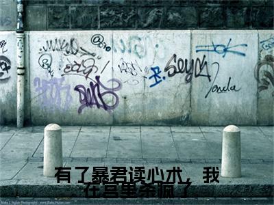 有了暴君读心术，我在宫里杀疯了：结局+番外免费品鉴（安玖）整本畅享在线+无广告结局