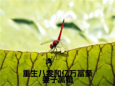 重生八零和亿万富豪妻子离婚秦语棠徐牧舟后续(重生八零和亿万富豪妻子离婚)（秦语棠徐牧舟）完整章节列表_笔趣阁