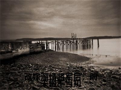 改嫁深情将军后，前夫悔不当初特别篇章节目录+章节前文（苏锦欢蓦云骞）TXT清爽版在线