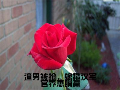 渣男被抢，嫁糙汉军官养崽躺赢：结局+番外免费品鉴+起始篇章（唐念欢魏长风）阅读