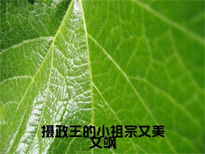 摄政王的小祖宗又美又飒续集（苏若锦顾靖）章节在线阅读最近章节