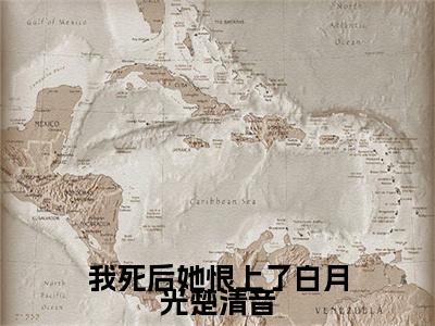 完结篇小说我死后她恨上了白月光楚清音小说(孟绍庭楚清音)已更新+无删减（我死后她恨上了白月光楚清音）无广告