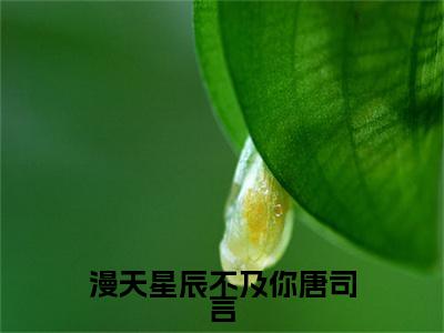 漫天星辰不及你唐司言附加完整在线阅读（沐南笙唐司言）最近更新列表