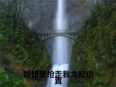 宋子钰姐姐想抢走我龙妃位置终章（姐姐想抢走我龙妃位置）完整章节列表_笔趣阁