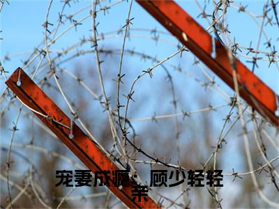 热文推荐顾北漠慕小乔小说大结局（宠妻成瘾：顾少轻轻亲）书荒必看列表