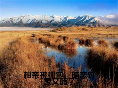 热文推荐相亲被抓包，暗恋对象又醋了附加(相亲被抓包，暗恋对象又醋了)宋棠：结局+番外免费品鉴