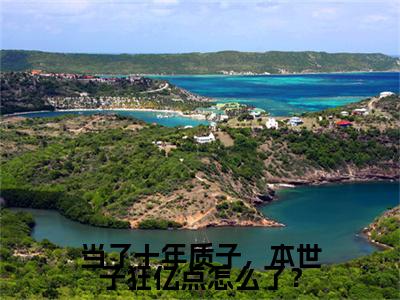 独家燕回小说(当了十年质子，本世子狂亿点怎么了？)（燕回）电子书畅享阅读