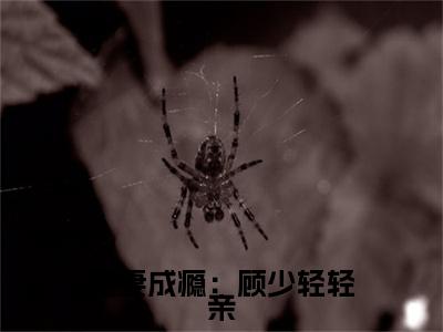 高分_宠妻成瘾：顾少轻轻亲小说(顾北漠慕小乔)（宠妻成瘾：顾少轻轻亲）全本完整阅读