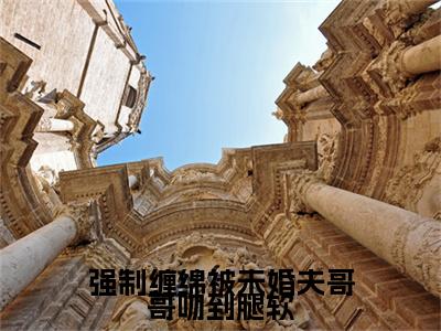 陆应淮楚棠小说完整在线阅读（强制缠绵被未婚夫哥哥吻到腿软）前传列表