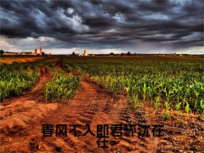 热文推荐李怀远沈在在春风不入郎君怀沈在在小说大结局（春风不入郎君怀沈在在）书荒必看列表