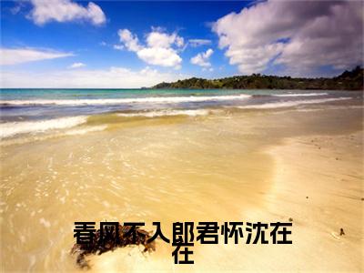 李怀远沈在在春风不入郎君怀沈在在特别篇章节目录+章节前文（春风不入郎君怀沈在在）TXT清爽版在线