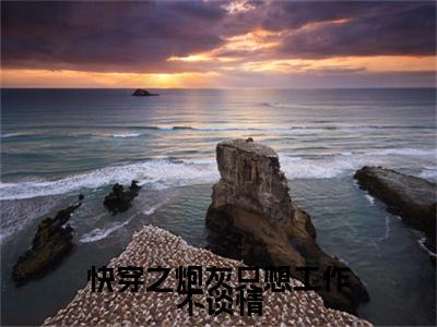 南幽续集(南幽)终极反转（快穿之炮灰只想工作不谈情）全篇一口气阅读