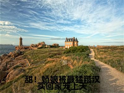 独家阮湘封阳无删减(甜！娇娘被最猛糙汉买回家宠上天)（阮湘封阳）TXT免费版阅读