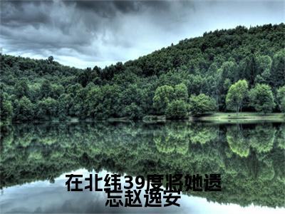 热文推荐在北纬39度将她遗忘赵逸安徐玥涵赵逸安：结局+番外精编之作