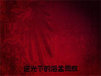 林薇薇孟司权：+后续+番外逆光下的海孟司权无删减小说在线无广告高口碑小说