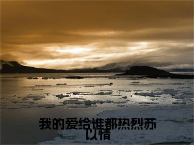 我的爱给谁都热烈苏以情后续(沈聿川苏以情)（我的爱给谁都热烈苏以情）整本畅享在线+无广告结局