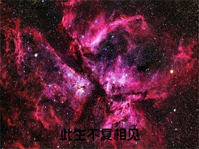 此生不复相见小说番外+结局（苏瑾萱裴景川）小说在线阅读