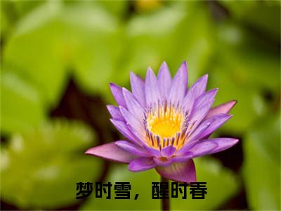 薛韶雪苏宣梦时雪，醒时春小说整本+后续（梦时雪，醒时春）清爽版阅读