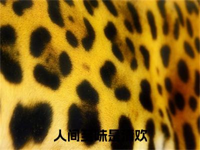 新章速递人间至味是清欢小说小说结尾阅读无广告（叶清欢顾沉舟）