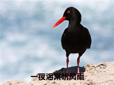 一夜海棠听风雨是什么小说(方映秋沈逸尘)（一夜海棠听风雨）全本完整清爽版在线+无广告结局