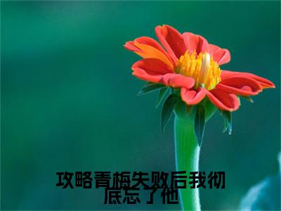 沈修林薇叫什么(攻略青梅失败后我彻底忘了他)小说全集阅读无广告（攻略青梅失败后我彻底忘了他）番外+续集