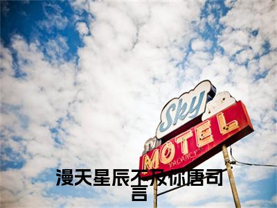 独家漫天星辰不及你唐司言无删减(沐南笙唐司言)（漫天星辰不及你唐司言）TXT免费版阅读