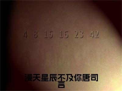 新章速递漫天星辰不及你唐司言小说小说结尾阅读无广告（沐南笙唐司言）