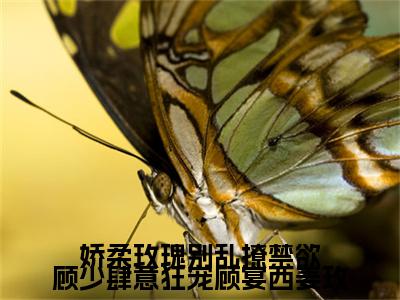 （头条）娇柔玫瑰别乱撩禁欲顾少肆意狂宠顾宴西姜玫小说(顾宴西姜玫)整本免费版阅读无广告（娇柔玫瑰别乱撩禁欲顾少肆意狂宠顾宴西姜玫）