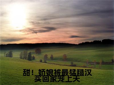 甜！娇娘被最猛糙汉买回家宠上天小说(阮湘封阳)小说全集在线下载_章节前文+后续（甜！娇娘被最猛糙汉买回家宠上天）