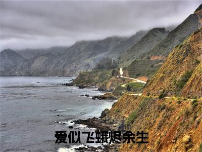江沐凛唐浅浅完结篇(爱似飞蛾烬余生)（爱似飞蛾烬余生）全书无套路阅读无广告小说大结局