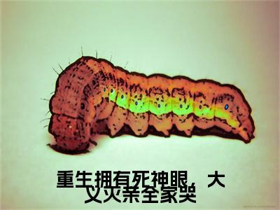 沈棠陆凌枭(重生拥有死神眼，大义灭亲全家哭)最近更新（沈棠陆凌枭）整本无套路阅读
